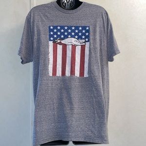 Large gray graphic tee shirt unisex, size large.‎ Preowned.